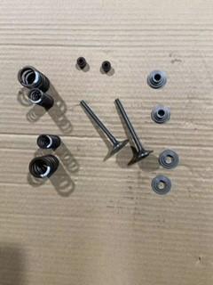 VALVE kits  FOR ZS190