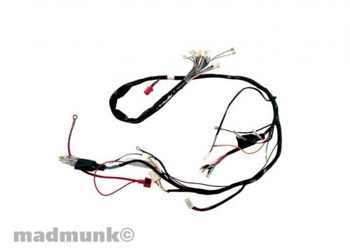 SKYTEAM DX WIRING LOOM