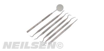 6PC STAINLESS STEEL DENTAL SET