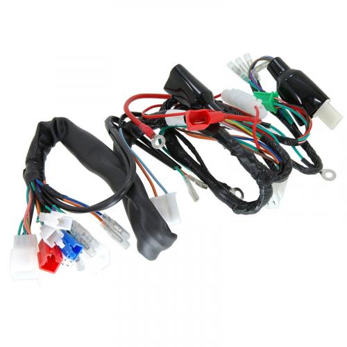 MUNK WIRING LOOM 12V