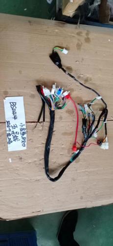 MUNK EURO 4/5 WIRING LOOM