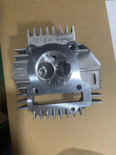 CYLINDER HEAD ONLY  FOR ZS190