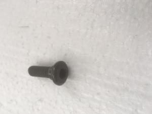 FORK DISC BOLT