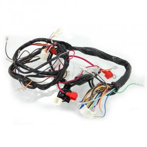 WIRING LOOM 12V DX