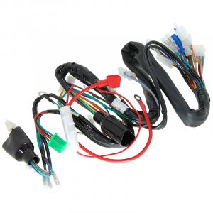 MUNK WIRING LOOM 12V